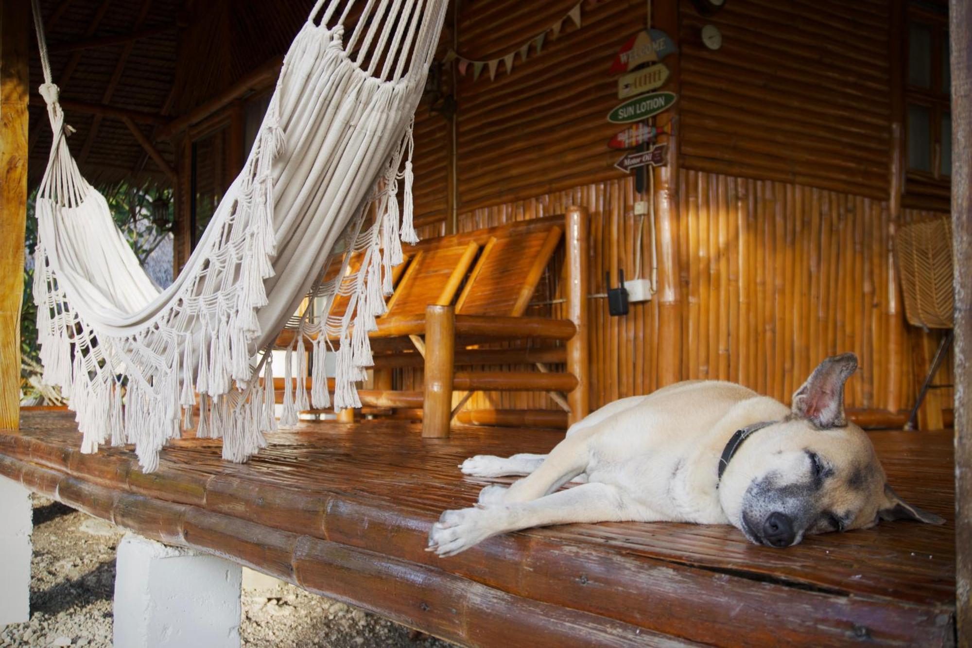 Tongo Hill Cottages โมอัลโบอัล ภายนอก รูปภาพ